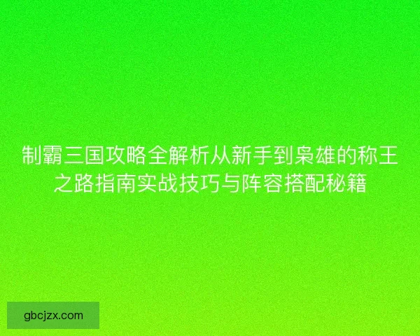 制霸三国攻略全解析从新手到枭雄的称王之路指南实战技巧与阵容搭配秘籍